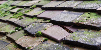 Wycombe roof repair costs